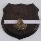 1x Wappenschild Wildschwein Trophäenschild Wappenform, AF 17cm, mit Eichenlaub Deckblatt massiv + klein