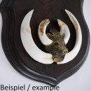 1x Wappenschild Wildschwein Trophäenschild Wappenform, AF 17cm, mit Keiler Kopf Abdeckung klein