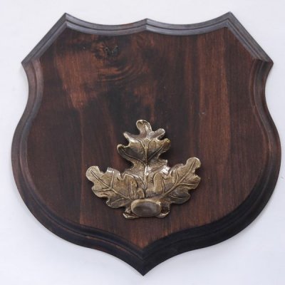 1x Wappenschild Wildschwein Troph&auml;enschild Wappenform, AF 19cm, mit Eichenlaub Deckblatt massiv + gro&szlig;