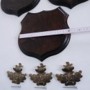 3x Wappenschild Wildschwein Troph&auml;enschild Wappenform, AF 19cm, mit Eichenlaub Deckblatt massiv + gro&szlig;