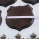 5x Wappenschilder Wildschwein AF 19cm Trophäenschild Eichenlaub Deckblatt groß