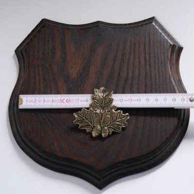 1x Wappenschild Wildschwein Troph&auml;enschild Wappenform, AF 19cm, mit Eichenlaub Deckblatt massiv + klein