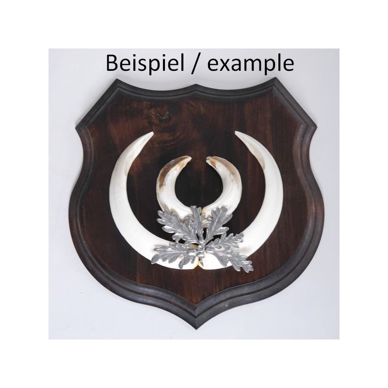 GTK - Geweihe & Trophäen KRUMHOLZ 1x Wappenschild Wildschwein Trophäenschild Wappenform, AF 15cm, mit Eichenlaub Deckblatt massiv + Klein