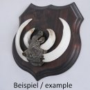 1x Wappenschild Wildschwein Trophäenschild Wappenform, AF 19cm, mit Keiler Kopf Abdeckung groß