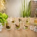 Set di 6 bicchierini da grappa "corti" con...