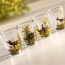 Set de 6 verres à schnaps « courts » avec motif chasse coloré - 2 cl -