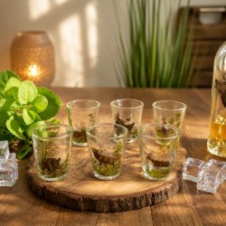 Set de 6 verres à schnaps « courts » avec motif chasse coloré - 2 cl -