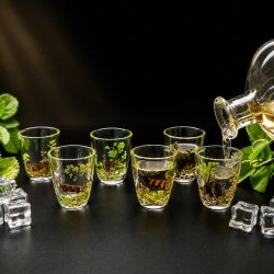 Set de 6 verres à schnaps « courts » avec motif chasse coloré - 2 cl -