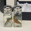 Salz &amp; Pfeffer Streuer SET mit farbigen Motiv Fisch Zander und Huchen