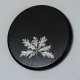 Keilerschild Keilerbrett Gewaffbrett Trophäenschild rund dunkel AF 15 cm mit Eichenlaub Deckblatt 6-blättrig