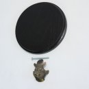Keilerschild Keilerbrett Gewaffbrett Trophäenschild rund dunkel AF 15 cm mit Keiler Kopf Verzierung klein