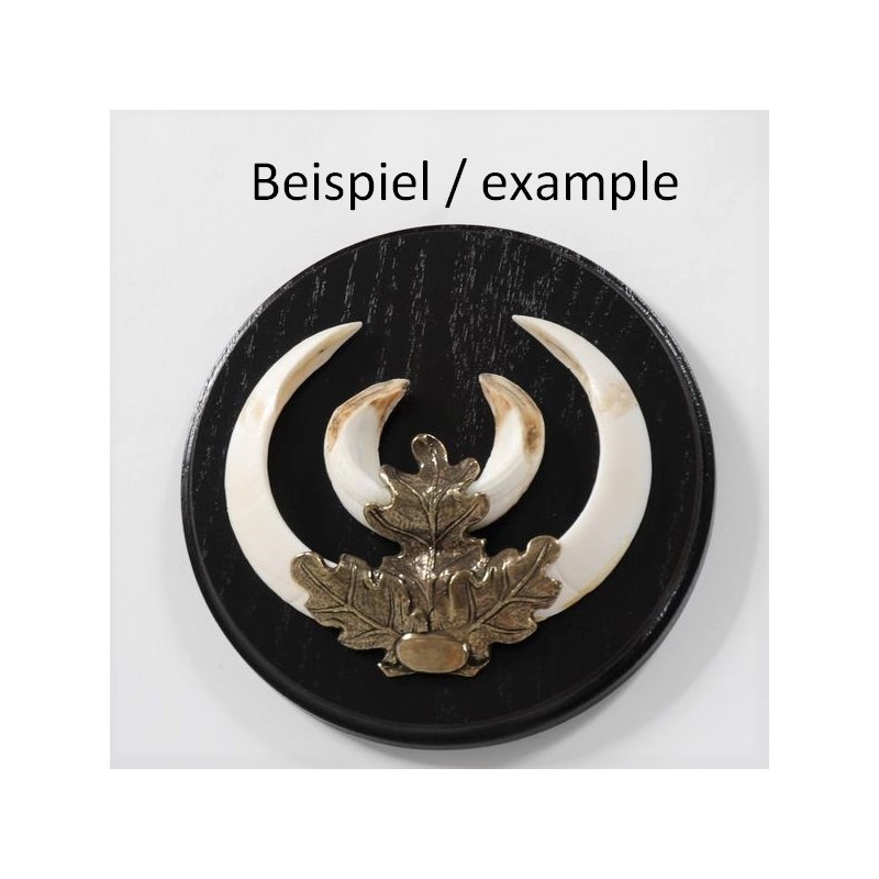 Keilerschild Rund Dunkel 17cm - Trophäenschild Für Wildschwein Keiler Mit Eichenlaub Deckblatt