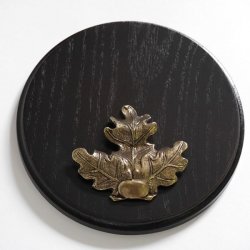 Keilerschild Keilerbrett Gewaffbrett Trophäenschild rund dunkel AF 17 cm mit Eichenlaub Deckblatt groß