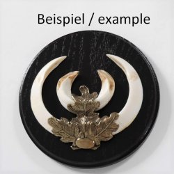Keilerschild Keilerbrett Gewaffbrett Trophäenschild rund dunkel AF 17 cm mit Eichenlaub Deckblatt groß