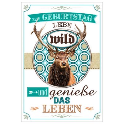 Zum Geburtstag Geburtstagskarte J&auml;ger Jagd Hirsch wild mit gr&uuml;nem Umschlag / Kuvert