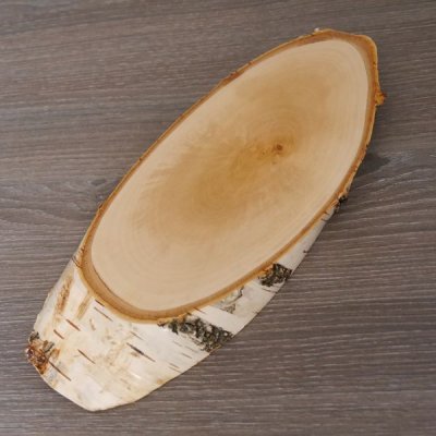 Birke Schild Troph&auml;enschild Reh Rehbock Geweih Baumscheibe Baumschild Natur Holz modern