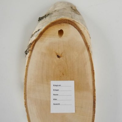 3 St&uuml;ck Birke Schilder Troph&auml;enschilder Reh Rehbock Geweih Baumscheibe Baumschild Natur Holz modern