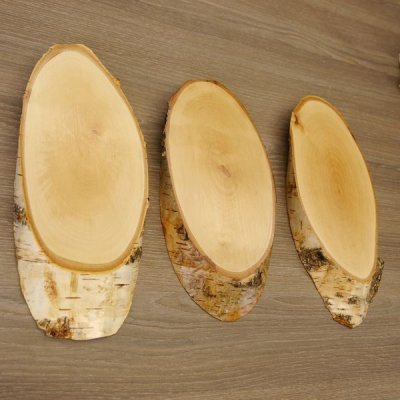 3 St&uuml;ck Birke Schilder Troph&auml;enschilder Reh Rehbock Geweih Baumscheibe Baumschild Natur Holz modern