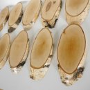 10 St&uuml;ck Birke Schilder Troph&auml;enschilder Reh Rehbock Geweih Baumscheibe Baumschild Natur Holz modern
