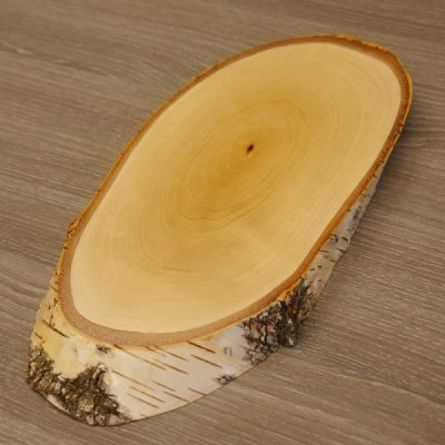Birke Schild Troph&auml;enschild Reh gro&szlig; Rehbock Geweih Baumscheibe Baumschild Natur Holz modern