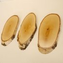 3 St&uuml;ck Birke Schilder Troph&auml;enschilder Reh gro&szlig; Rehbock Geweih Baumscheibe Baumschild Natur Holz modern