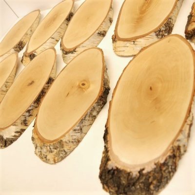 10 St&uuml;ck Birke Schilder Troph&auml;enschilder Reh gro&szlig; Rehbock Geweih Baumscheibe Baumschild Natur Holz modern