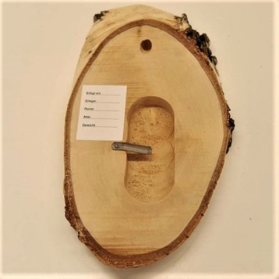 Birke Schild Troph&auml;enschild Reh Rehbock Geweih Baumscheibe Baumschild Natur Holz modern mit Kieferfach