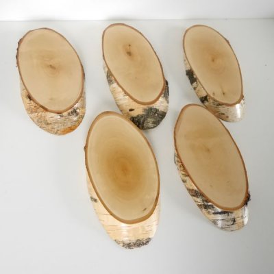 5 St&uuml;ck Birke Schilder Troph&auml;enschilder Reh Rehbock Geweih Baumscheibe Baumschild Natur Holz modern mit Kieferfach