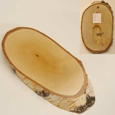 Birke Schild Troph&auml;enschild Reh gro&szlig; Rehbock Geweih Baumscheibe Baumschild Natur Holz modern mit Kieferfach