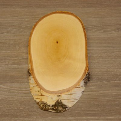 Birke Schild Trophäenschild Reh groß Rehbock Geweih Baumscheibe Baumschild Natur Holz modern mit Kieferfach