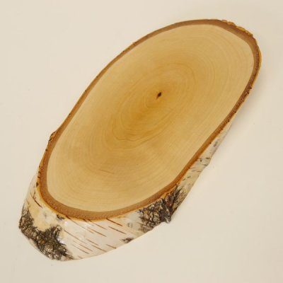 Birke Schild Troph&auml;enschild Reh gro&szlig; Rehbock Geweih Baumscheibe Baumschild Natur Holz modern mit Kieferfach
