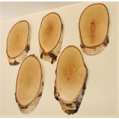5 St&uuml;ck Birke Schilder Troph&auml;enschilder Reh gro&szlig; Rehbock Geweih Baumscheibe Baumschild Natur Holz modern mit Kieferfach