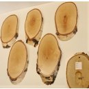 5 Stück Birke Schilder Trophäenschilder Reh groß Rehbock Geweih Baumscheibe Baumschild Natur Holz modern mit Kieferfach