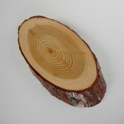 L&auml;rche Schild Troph&auml;enschild Reh Rehbock Geweih Baumscheibe Baumschild Natur Holz modern
