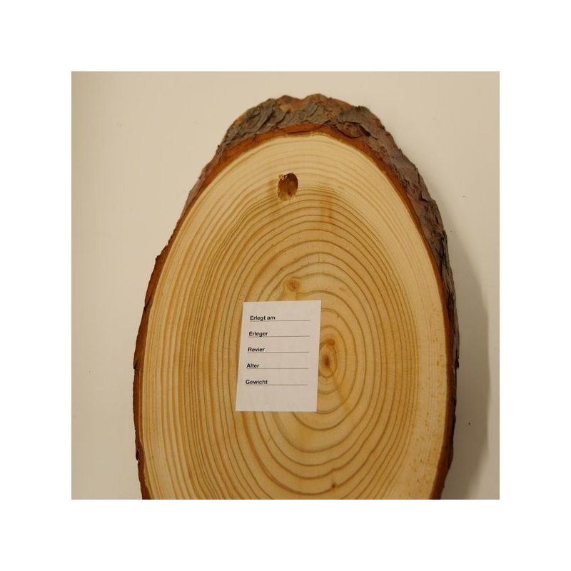 5 Trophäenschilder Aus Akazienholz - Groß Für Rehgeweihe 22cm