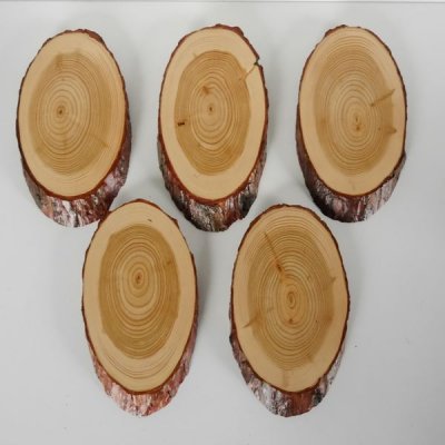 5 St&uuml;ck L&auml;rche Schilder Troph&auml;enschilder Reh Rehbock Geweih Baumscheibe Baumschild Natur Holz modern