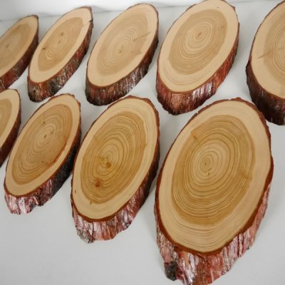 10 St&uuml;ck L&auml;rche Schilder Troph&auml;enschilder Reh Rehbock Geweih Baumscheibe Baumschild Natur Holz modern
