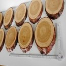 10 St&uuml;ck L&auml;rche Schilder Troph&auml;enschilder Reh Rehbock Geweih Baumscheibe Baumschild Natur Holz modern