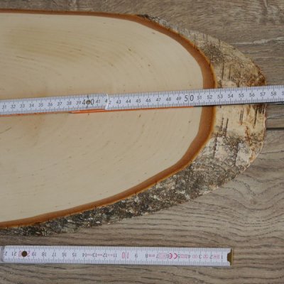 Birke Rothirsch Hirsch Schild Troph&auml;enschild Geweih Baumscheibe Baumschild Natur Holz modern AF 51cm