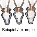 3 Stück Trophäenschilder Reh Bock Schild 1x KF dunkel 3 Stück Gehörnklammern