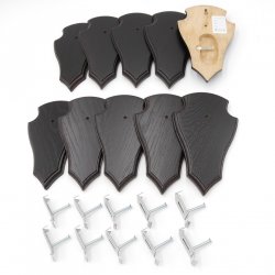 10 Stück Reh Trophäenschild Spitz klein Eiche dunkel AF 19 cm x 11 cm mit 1 Kieferfach und 10 Stück Gehörnklammer