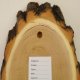 Akazie Reh Bock Trophäenschild AF 20-21 cm groß Rehbock Baumscheibe Baumschild