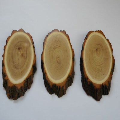 3 Stück Akazie Trophäenschilder Reh AF 20-21 cm Rehbock Baumscheibe Baumschild