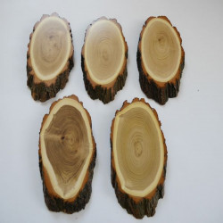 5 Stück Akazie Reh Trophäenschilder AF 20-21 cm Rehbock Baumscheibe Baumschild