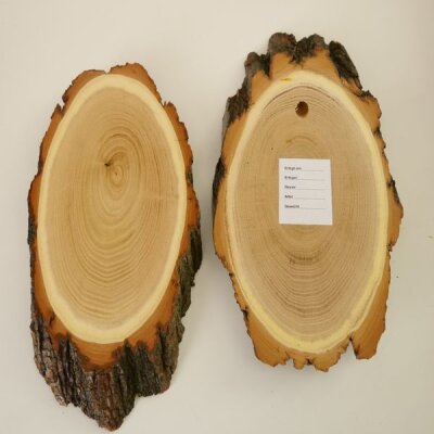 Akazie Reh Bock Trophäenschild AF 19 Cm Rehbock Ba Produktbild-Vorschau 5