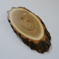 1 Stück Akazie Reh Trophäenschild groß mit Kieferfach Rehbock Baumscheibe Baumschild