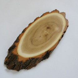 1 Stück Akazie Reh Trophäenschild groß mit Kieferfach Rehbock Baumscheibe Baumschild