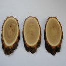 3 Stück Akazie Reh Trophäenschilder groß mit Kieferfach Rehbock Baumscheibe Baumschild