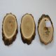 3 Stück Akazie Reh Trophäenschilder groß mit Kieferfach Rehbock Baumscheibe Baumschild