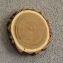 1 Stück Akazie Keiler AF 13 cmTrophäenschild...